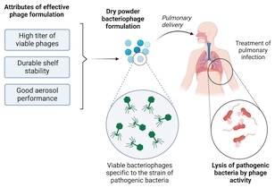 Formulation of Bacteriophage for Inhalation to Treat Multidrug-Resistant Pulmonary Infections