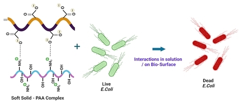 Antibacterial Properties of Soft Solids (Chitosan and Polyacrylic Acid Gel Particles) in Solution and on a Bio-Surface (VITRO-SKIN)